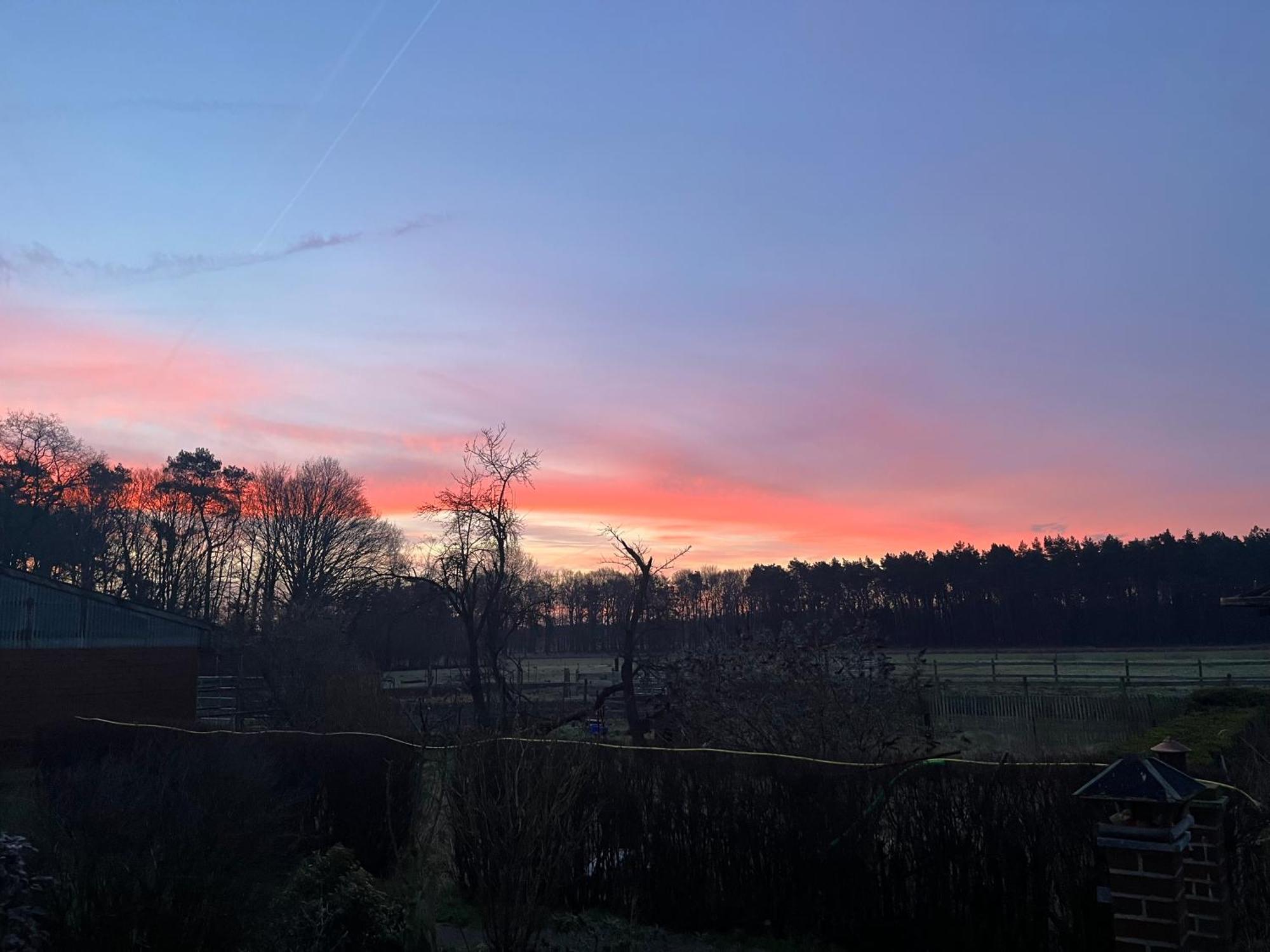 Wunderschoene Ferienwohnung Mit Balkon Auf Dem Bauernhof Greven Esterno foto
