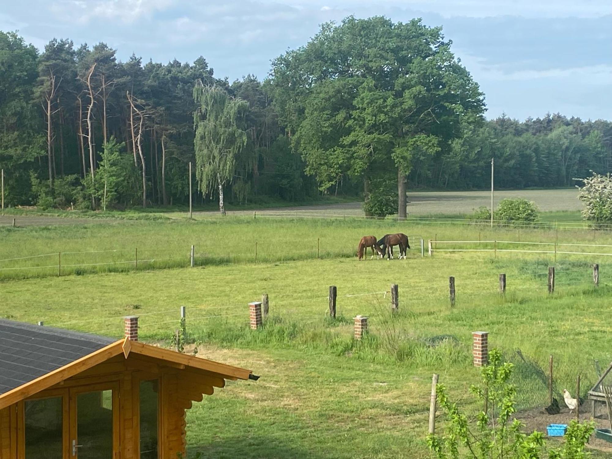 Wunderschoene Ferienwohnung Mit Balkon Auf Dem Bauernhof Greven Esterno foto