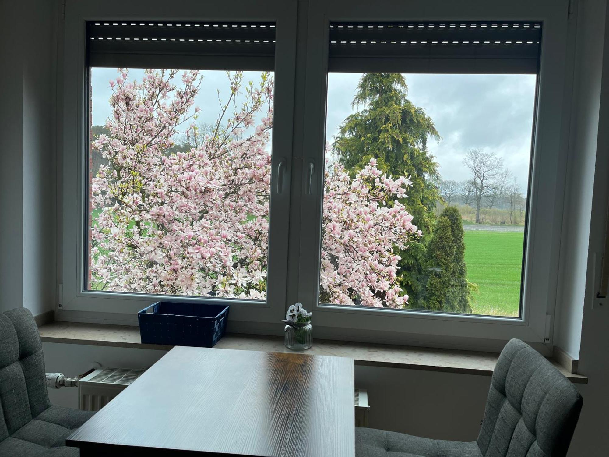 Wunderschoene Ferienwohnung Mit Balkon Auf Dem Bauernhof Greven Esterno foto